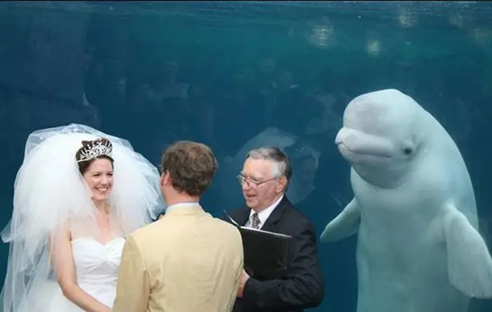 mejores