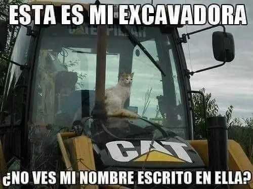 imagenes
