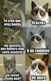 Alegre