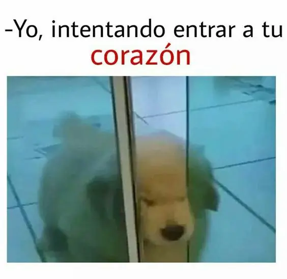 Humor