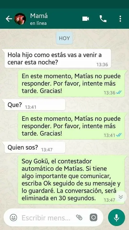 Mamá online