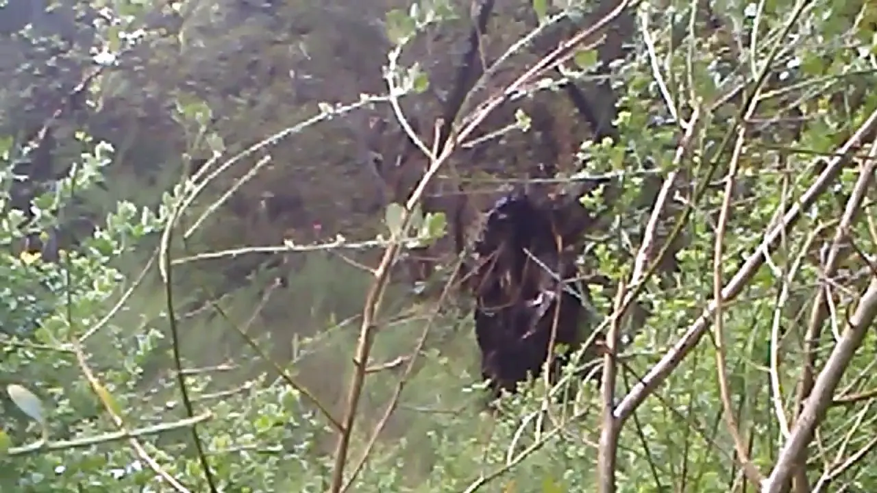 misterio