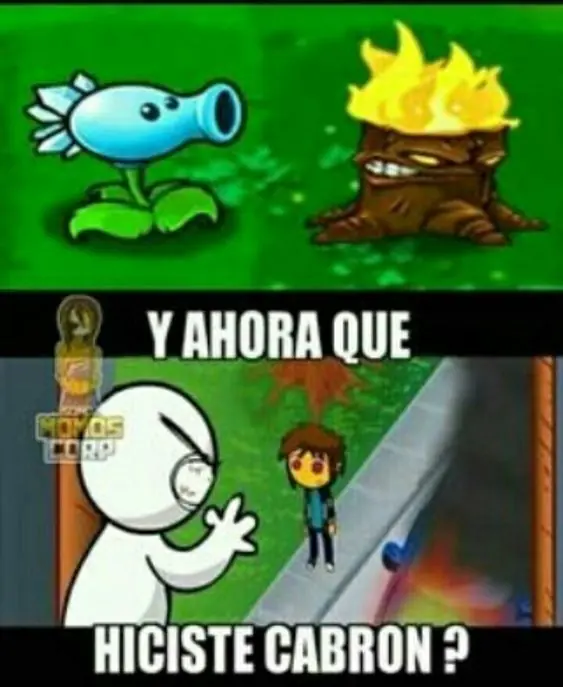 Descansar