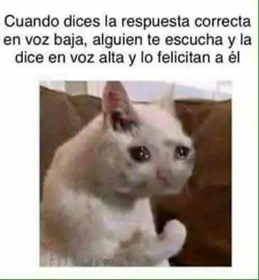 humor