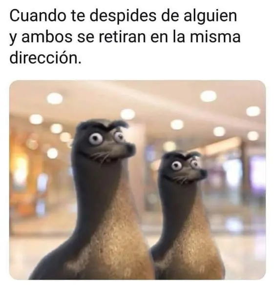 humor