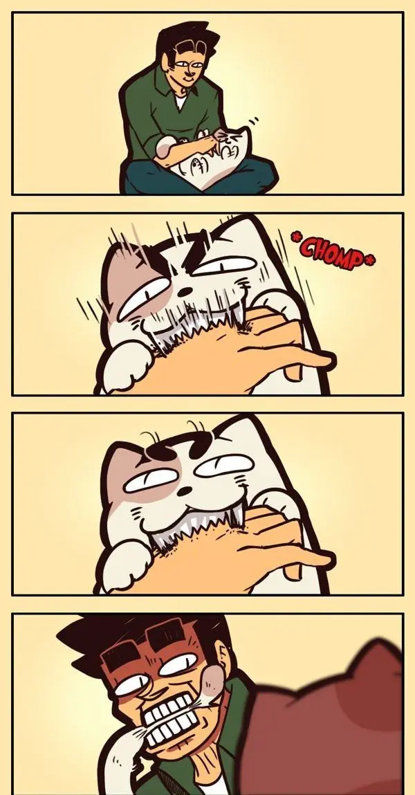 MEMES
