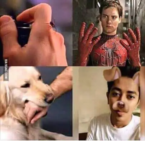 Memes únicos #1 valor por meme un punto
