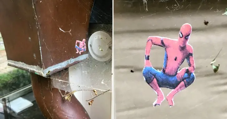 15 Imágenes variadas que Internet nos ofrece el día de hoy