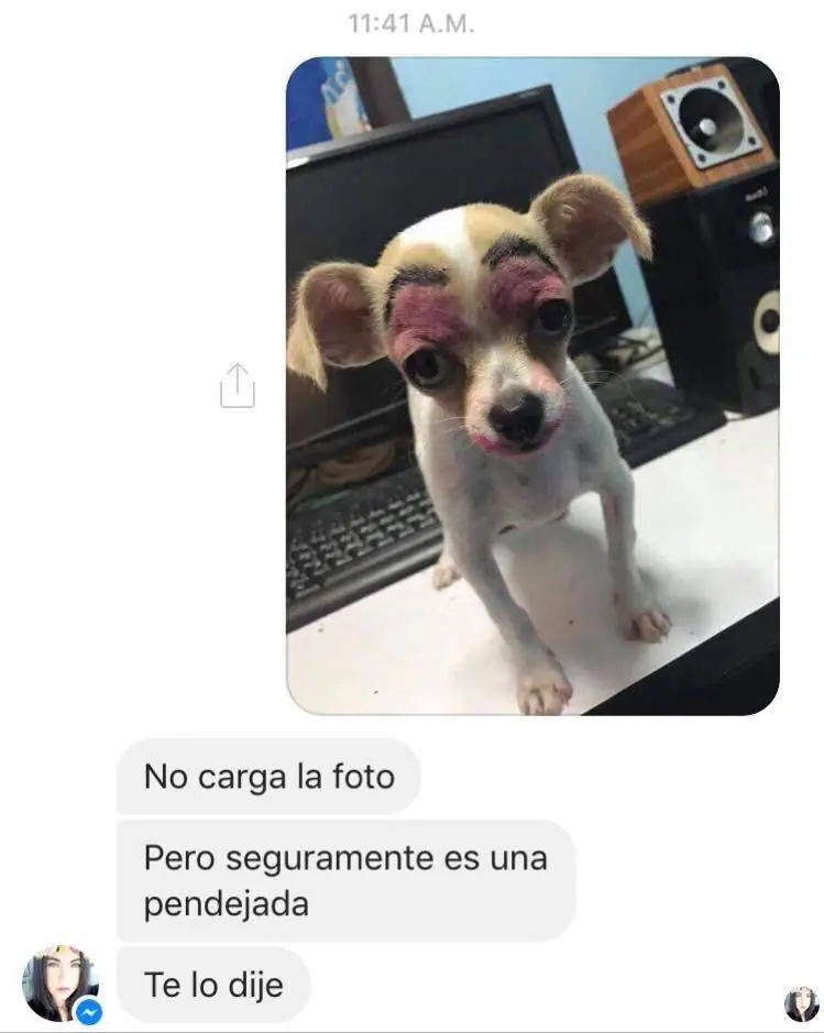 Super memes wtf que no te puedes perder