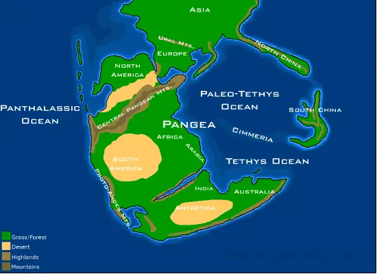 Deriva