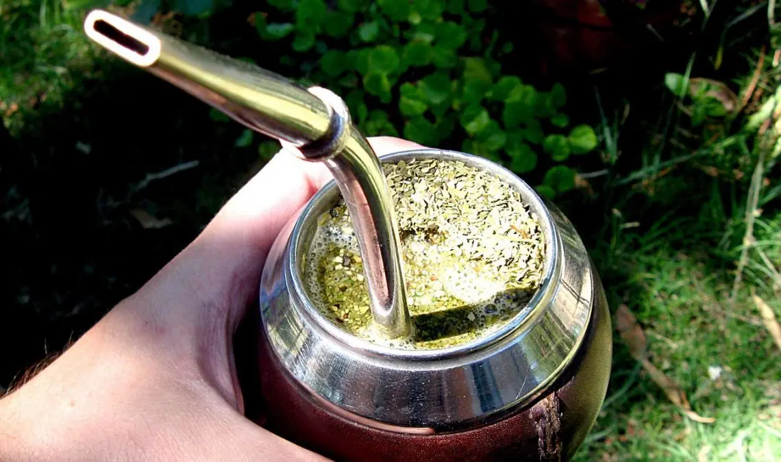 yerba