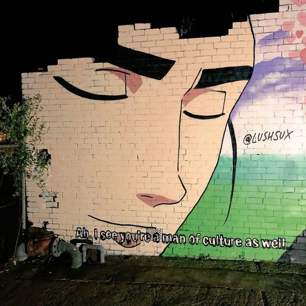 Lushsux: arte callejero,anime y memes