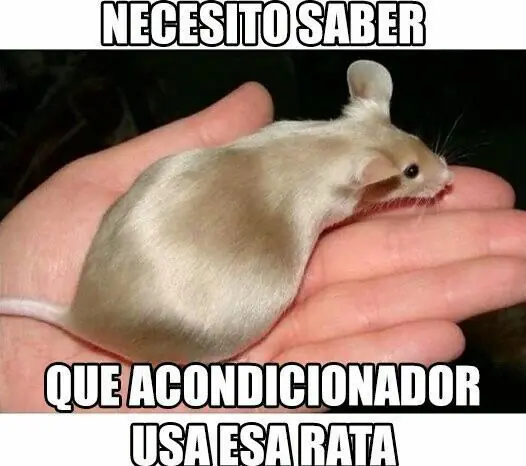 MUCHAS