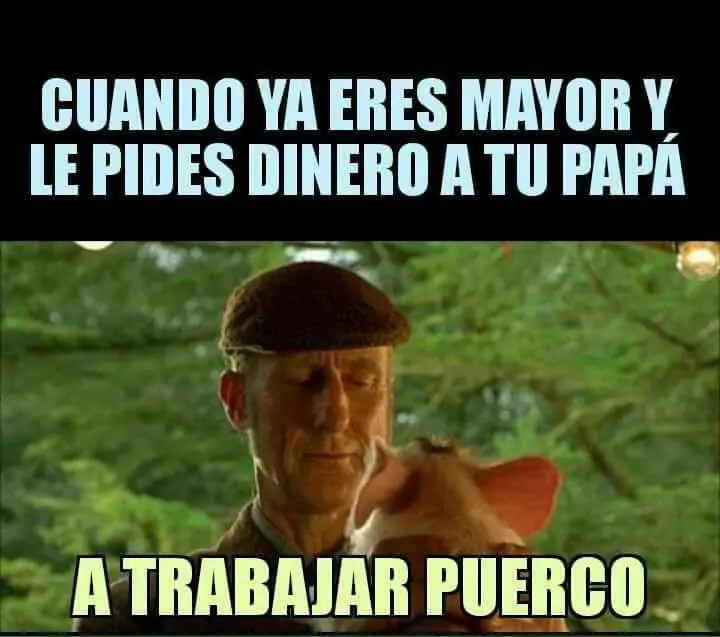 50 Imágenes de Humor para este Domingo