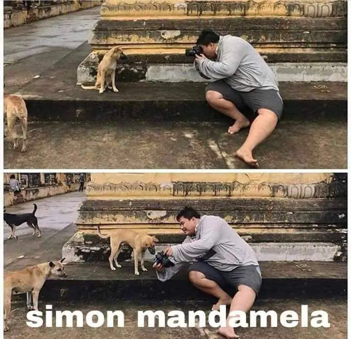 HUMOR