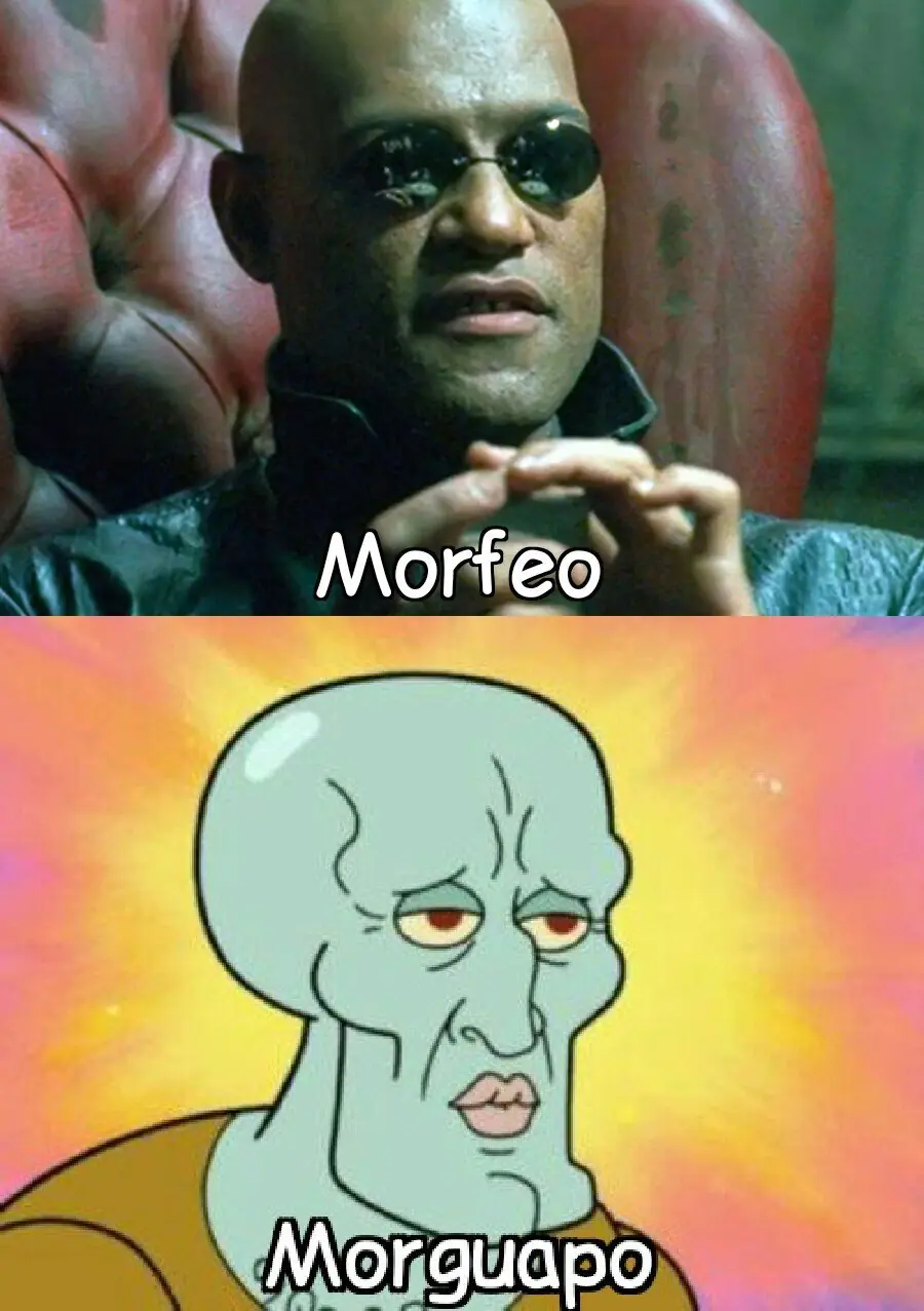 MEMES