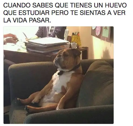 COSAS