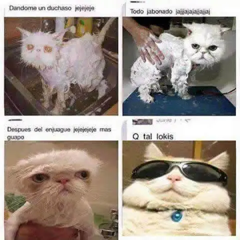 PASAN