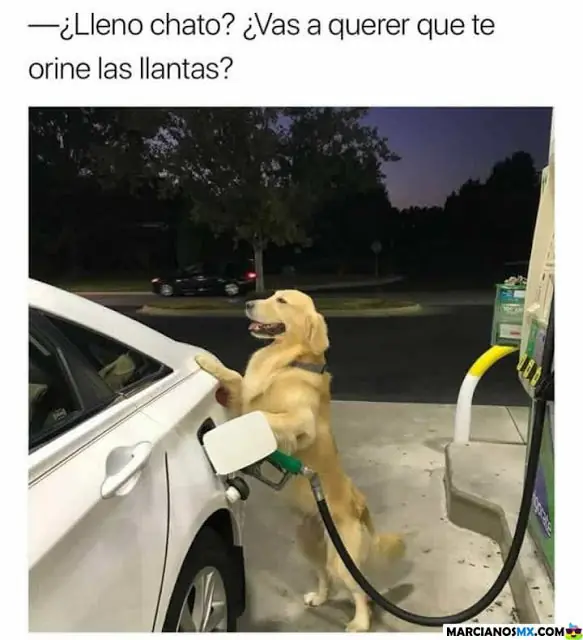 PARA