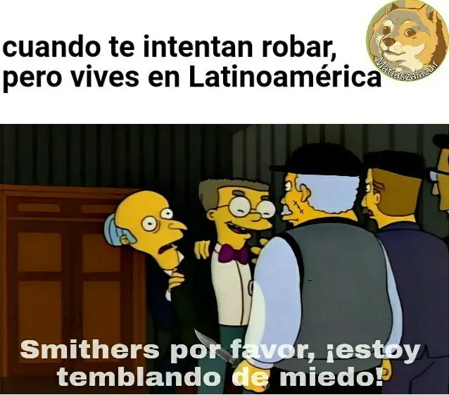 50 Imágenes de Humor para este Domingo