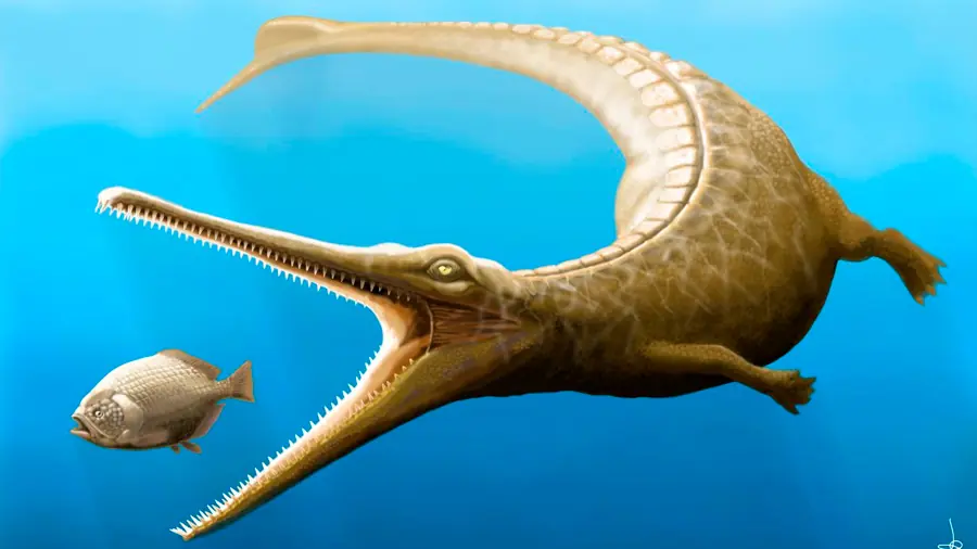 Hallan eslabón perdido evolutivo entre cocodrilos y delfines