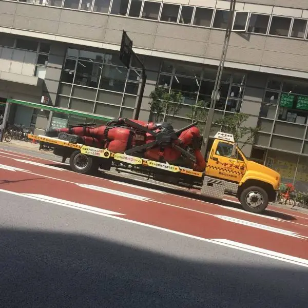 Hoy