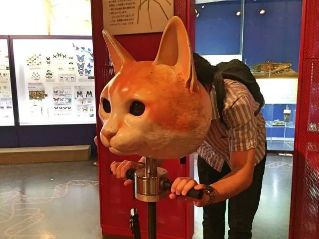 Típicas imágenes de WTF! para que te de un ataque de risa.
