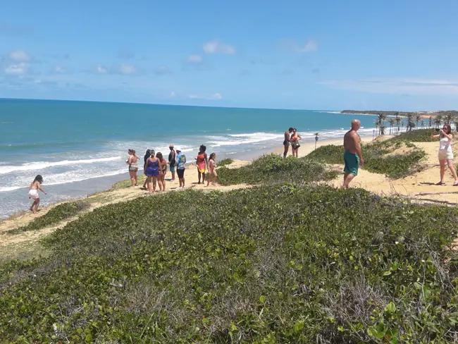 Conoces Jericoacoara pasa te lo muestro - Certificado