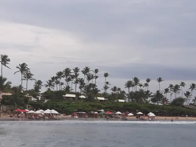 Conoces Jericoacoara pasa te lo muestro - Certificado