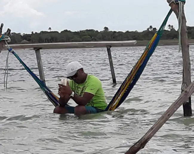 Conoces Jericoacoara pasa te lo muestro - Certificado