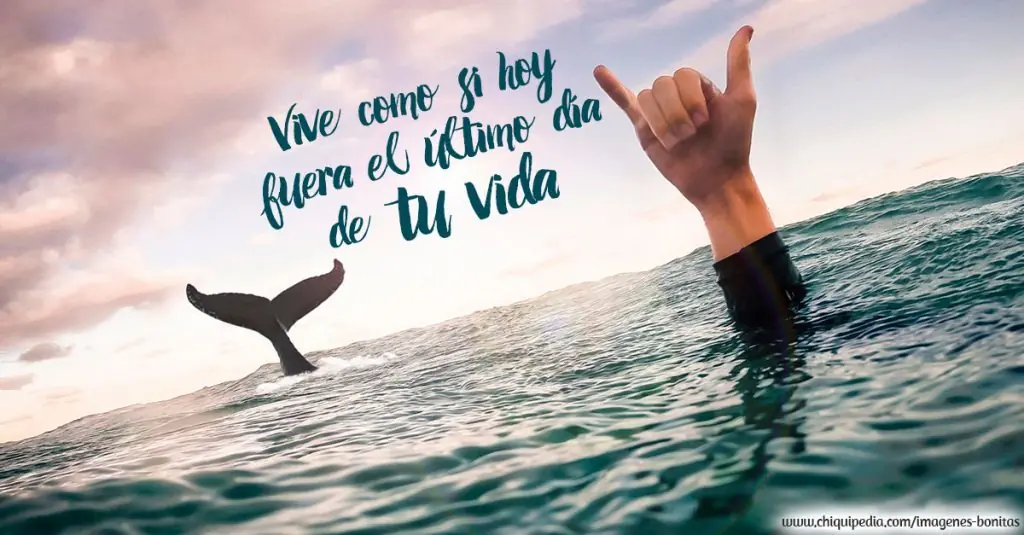 Lo que aprendi