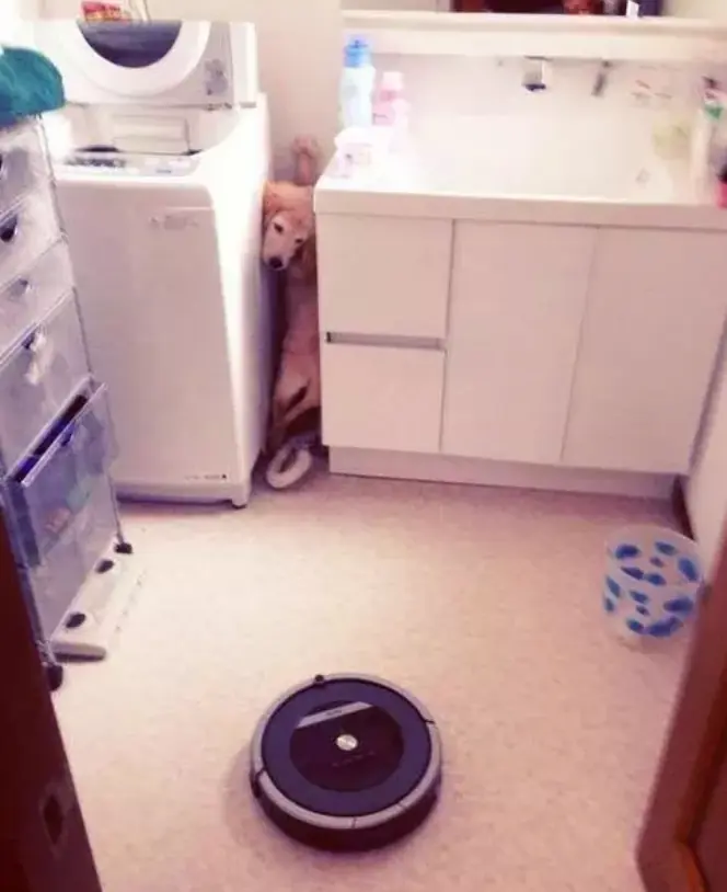 derp