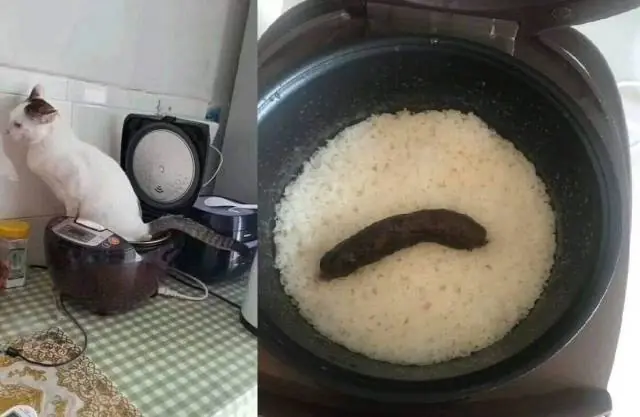 Dias
