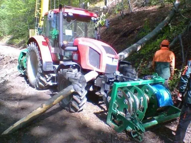Maligno