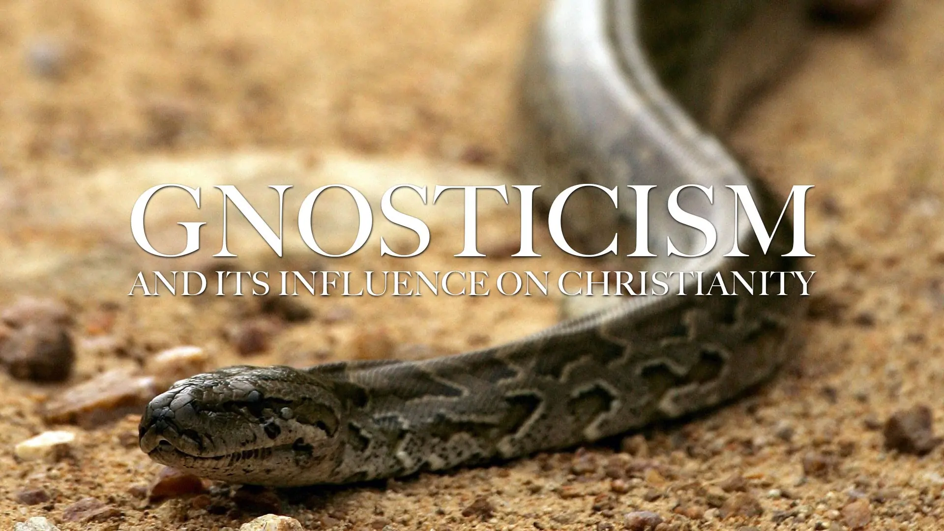 serpiente