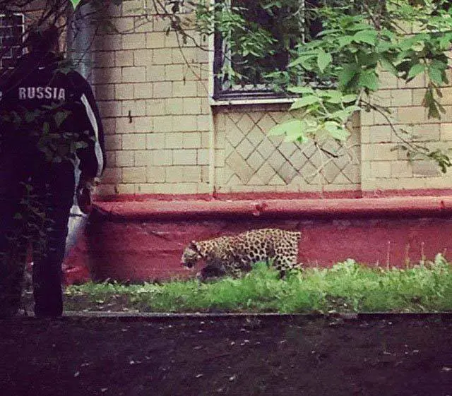 lugares con talento especiales que genera mucha risa WTF!