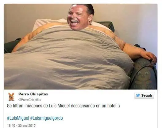 luis miguel