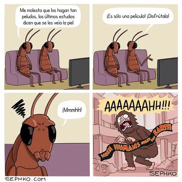 Remedio
