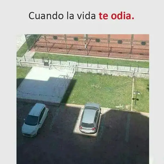 humor