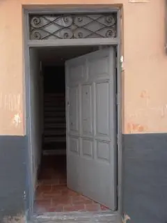 patriota 100