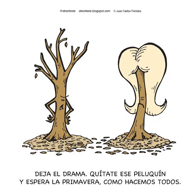 36 imágenes de humor célebre: impactante gozaras de reír...