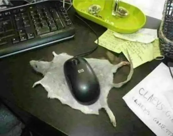 DESANIMADO