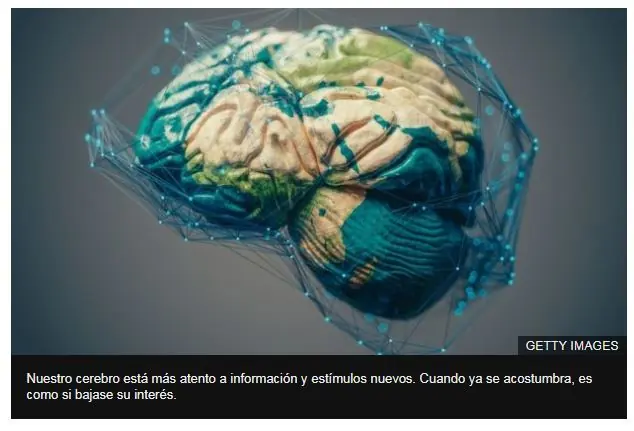 noticia