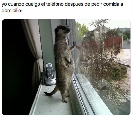 humor
