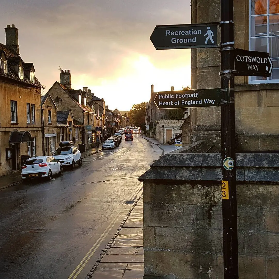 Transfieren recuerdos de un animal a otro