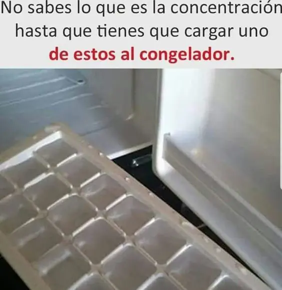 sin fin