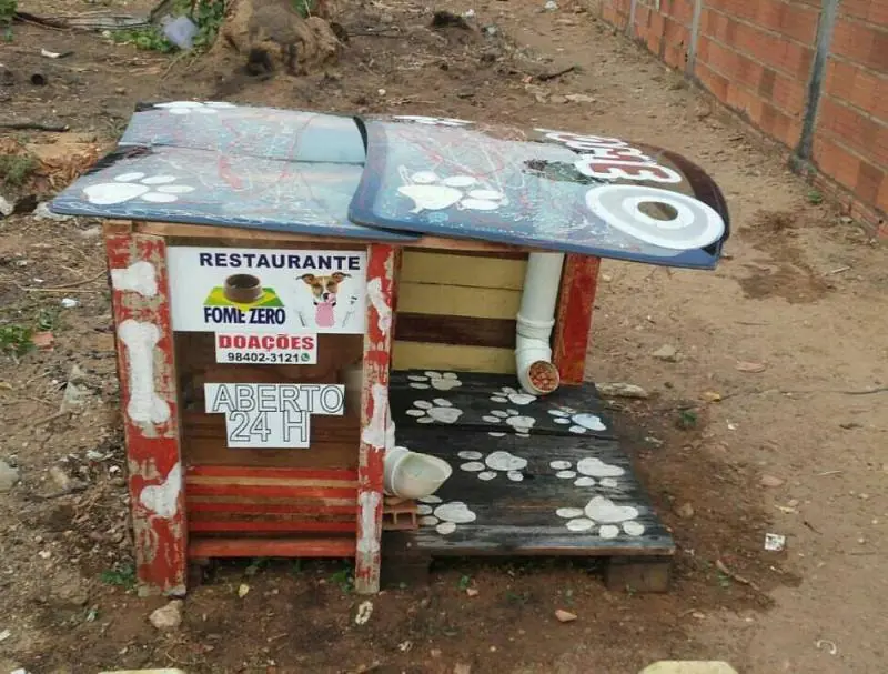 Un hombre fabrica “restaurante” para perros callejeros Un hombre fabrica “restaurante” para perros callejeros