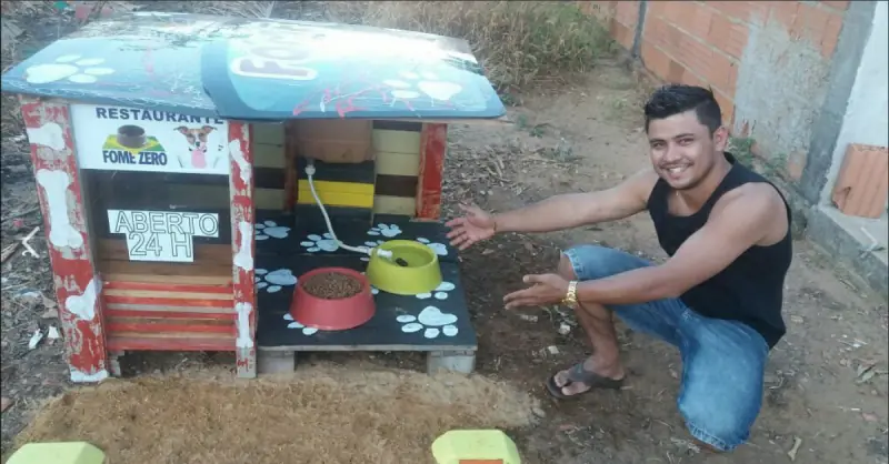 perros perros