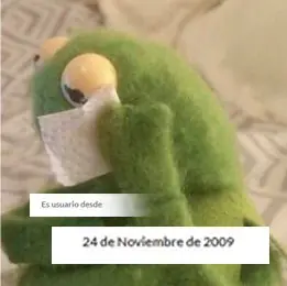 mi vida en t