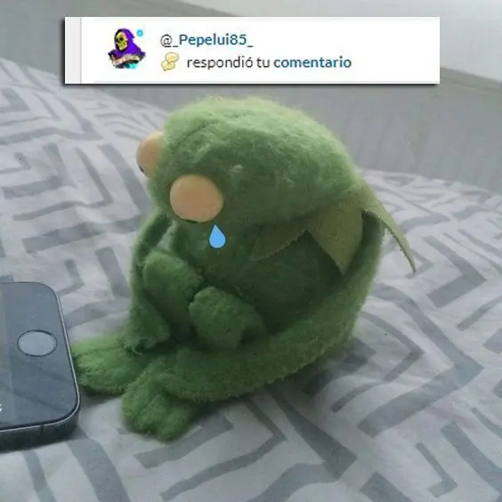 mi vida en t